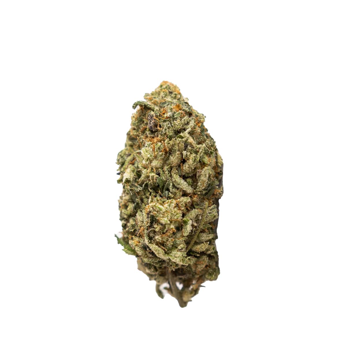 Gelato Glue Rose Park